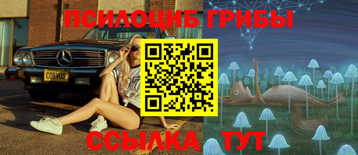 Кировск  Галлюциногенные грибы Cubensis  Вход с VPN 